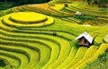 陽光米易-孟獲城、米易新山梯田、太陽谷九十九里溫泉 4 日游