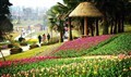 漫花莊園 錦門絲綢小鎮一日游
