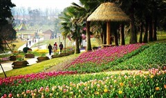 漫花莊園 錦門絲綢小鎮一日游